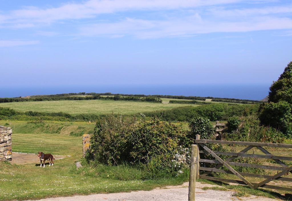 Higher Tresmorn Farm Bed and Breakfast Crackington Haven Exterior foto